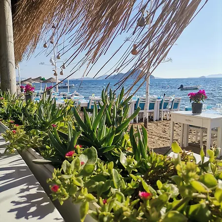 Pitos Hotel Gümüşlük