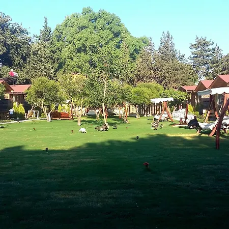 Pitos 3* Gümüşlük