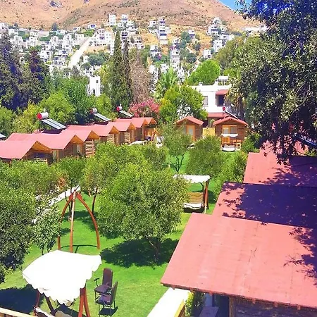 Hotel Pitos 3*