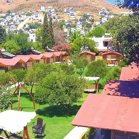 Hotel Pitos 3*